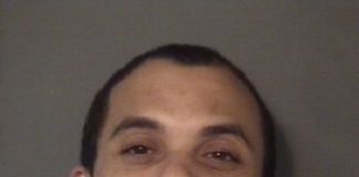 A Bologna Sandwich On White Bread Mugshot…No Mustard