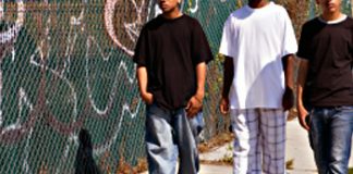 Group of kids Beat Up a Woman & stole her purse on Cherokee Street