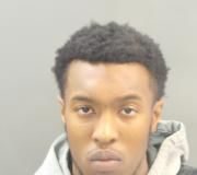 A STL woman stopped to help a cat. Then she gets carjacked.