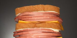 Woman Caught Trying to Smuggle over 200lbs of Bologna Into US