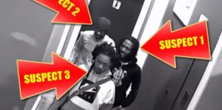 Do you recognize any of these STL Sh!tB@gs