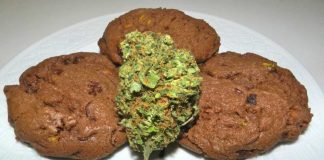 No Jail time for giving Churchgoers Hash Cookies