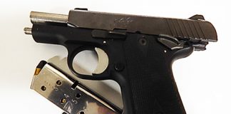 Woman Gets Two Years For Loaded Gun In Vag