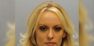 Stormy Daniels arrested during strip club performance
