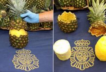 Nearly 150 pounds of coke found hidden in pineapples