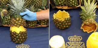 Nearly 150 pounds of coke found hidden in pineapples