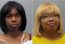 Shoplifters at West County charged with assault in attempt to run away from Po..Po’s