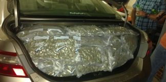 Mother & Daughter arrested with trunk full of Weed in North Carolina