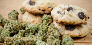 Caught with 20 pounds of Weed Cookies by MO Highway Patrol