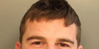 Eagles Fan Arrested for Punching Police Horse in the Face