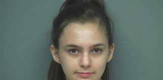 Teen masterminded plot to carjack dad